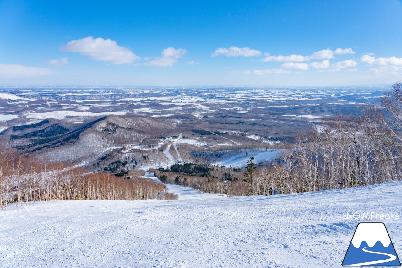 十勝サホロリゾート｜道東の粉雪はレベルが違う☆抵抗感皆無のさらさらパウダースノーへ滑り込め！(*^^*)